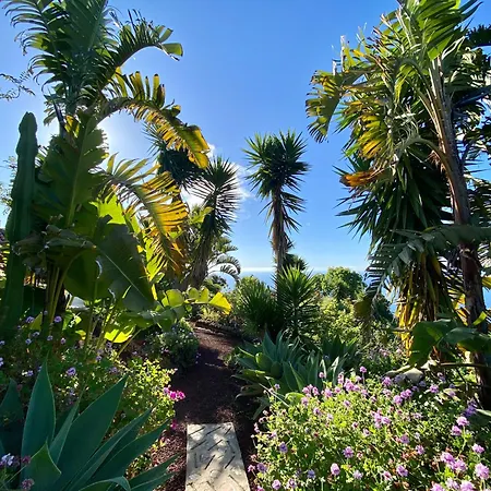 Tenerife - Traumblick, Tropischer Garten, Viel Platz & Ruhe *