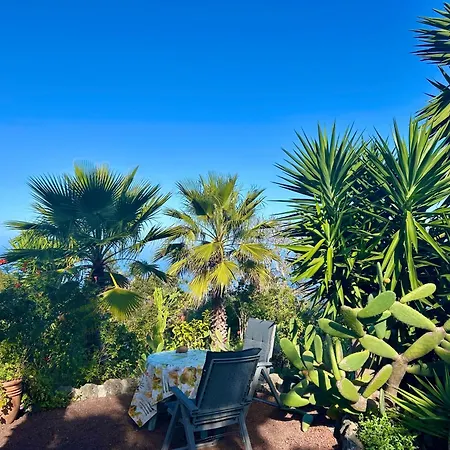 Tenerife - Traumblick, Tropischer Garten, Viel Platz & Ruhe Сasa de vacaciones