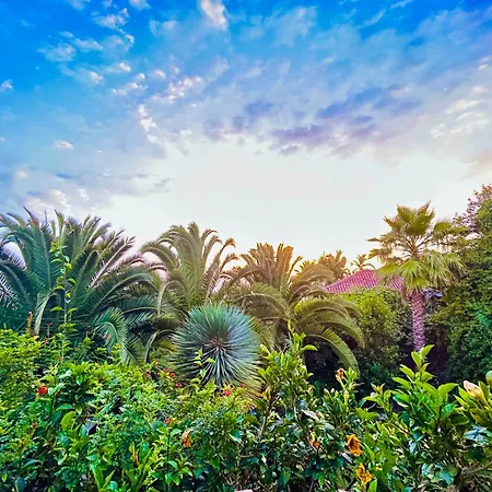 Tenerife - Traumblick, Tropischer Garten, Viel Platz & Ruhe Prázdninový dům