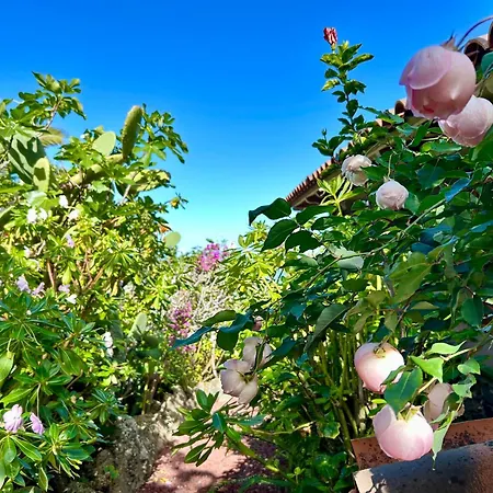 Tenerife - Traumblick, Tropischer Garten, Viel Platz & Ruhe