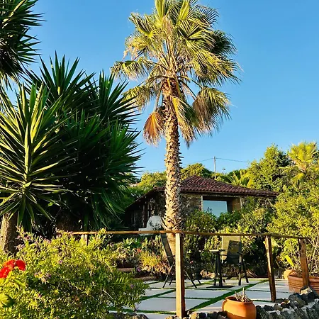 Tenerife - Traumblick, Tropischer Garten, Viel Platz & Ruhe