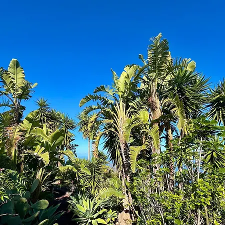Tenerife - Traumblick, Tropischer Garten, Viel Platz & Ruhe 別荘 *