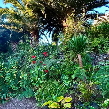 Tenerife - Traumblick, Tropischer Garten, Viel Platz & Ruhe *