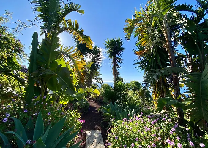 Tenerife - Traumblick, Tropischer Garten, Viel Platz & Ruhe *