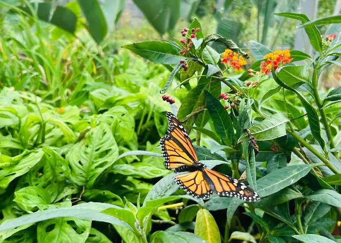 度假居 Tenerife - Traumblick, Tropischer Garten, Viel Platz & Ruhe