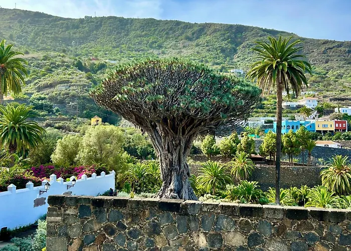 Casa de Férias Tenerife - Traumblick, Tropischer Garten, Viel Platz & Ruhe