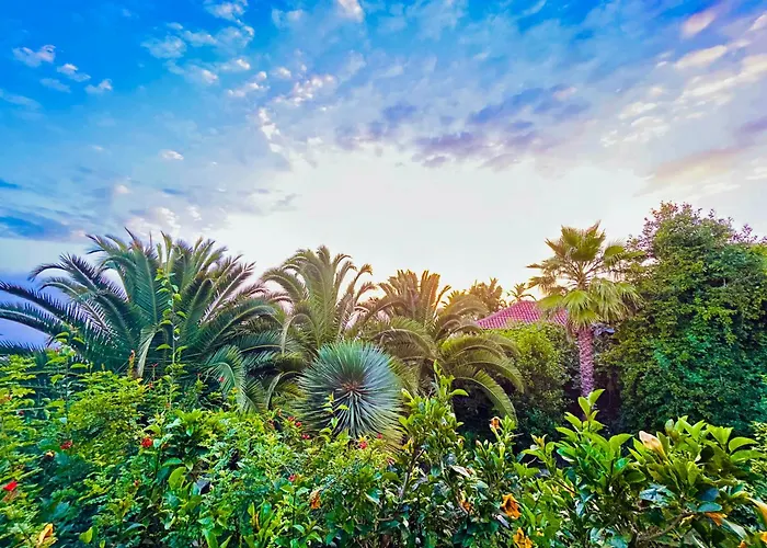 Tenerife - Traumblick, Tropischer Garten, Viel Platz & Ruhe Casa de Férias
