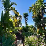 Tenerife - Traumblick, Tropischer Garten, Viel Platz & Ruhe *