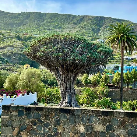 Hébergement de vacances Tenerife - Traumblick, Tropischer Garten, Viel Platz & Ruhe