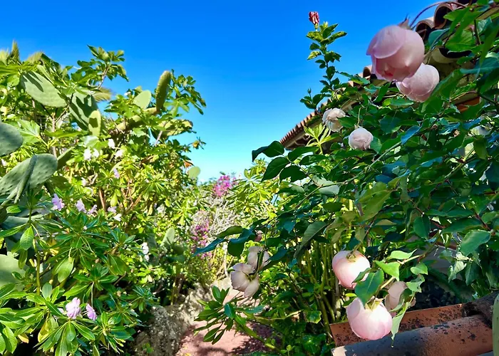 Tenerife - Traumblick, Tropischer Garten, Viel Platz & Ruhe